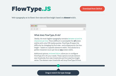 FlowType.js site