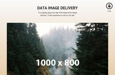 DATA IMAGE DELIVERY site