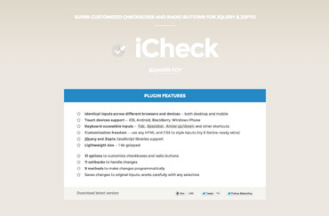 iCheck site